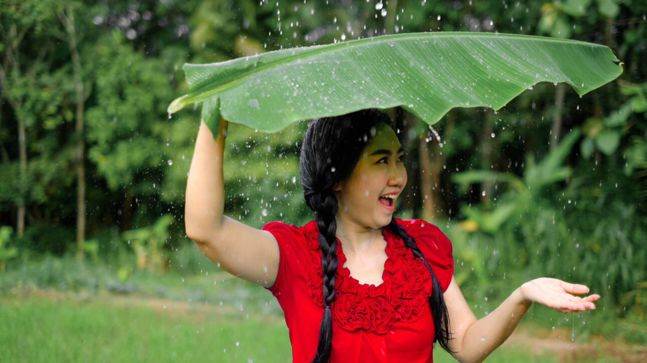 Ayurvedic Monsoon Care for Immunity & Digestion Image