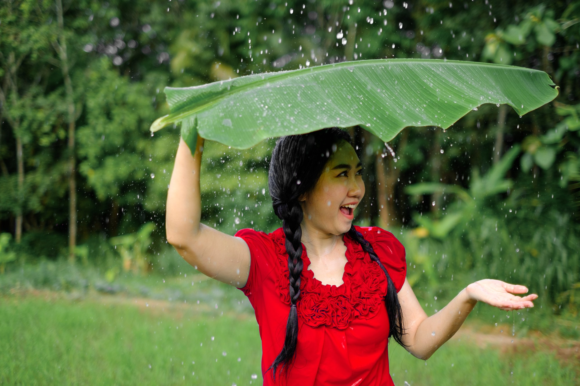 Ayurvedic Monsoon Care for Immunity & Digestion Image